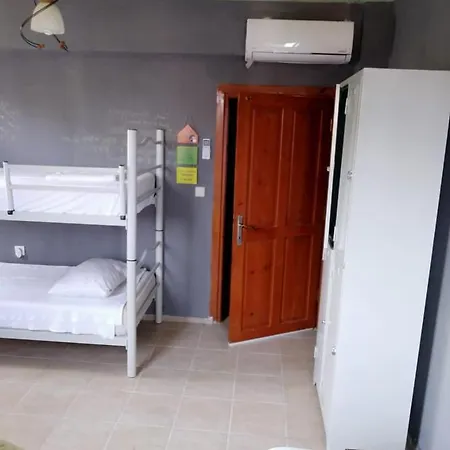 Funky Monkey Hostel&pub بيت شباب